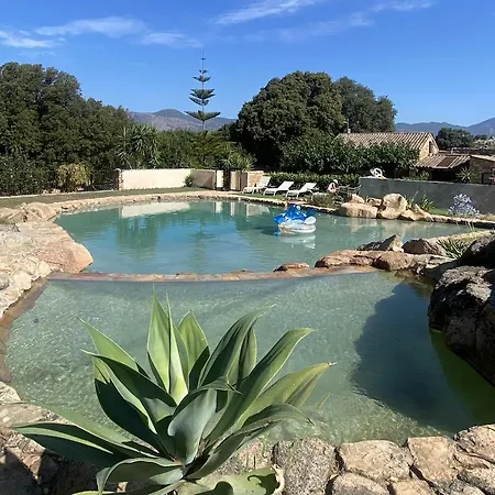 Maison L'olivier Avec Piscine Hébergement de vacances