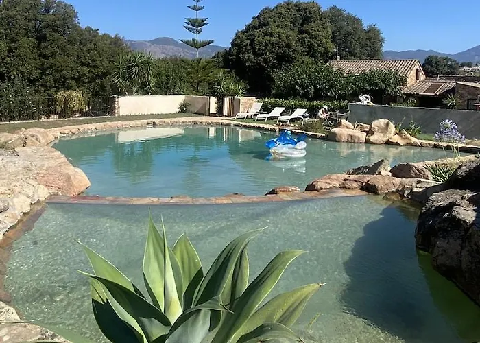Maison L'olivier Avec Piscine Hébergement de vacances