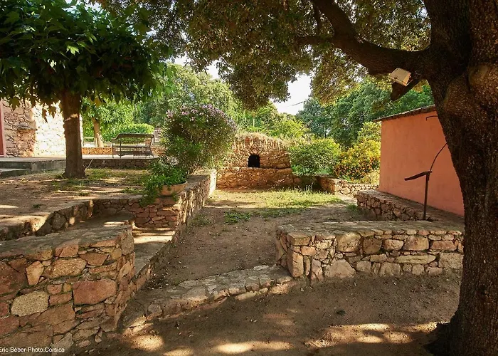 Maison L'olivier Avec Piscine Hébergement de vacances *