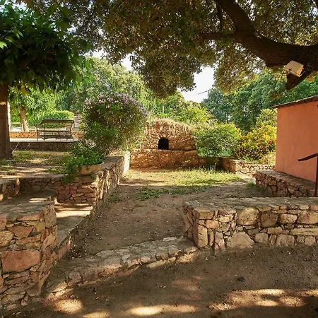 Maison L'olivier Avec Piscine Ferienhaus *